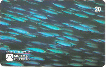 SP-0044M - Xixarro-Salmão