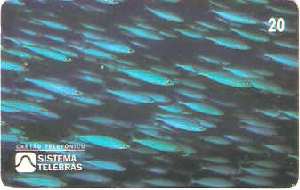 SP-0044 - Xixarro-Salmão