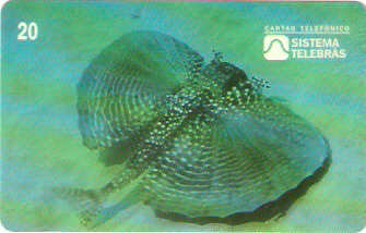 SP-0045M - Falso Voador