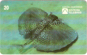 SP-0045 - Falso Voador