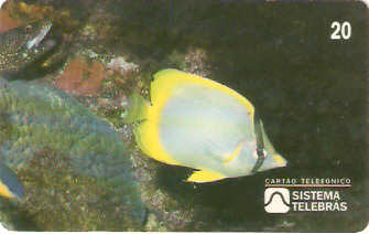 SP-0046 - Borboleta