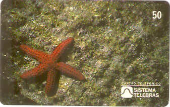 SP-0047M - Estrela-do-Mar