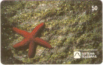 SP-0047 - Estrela-do-Mar