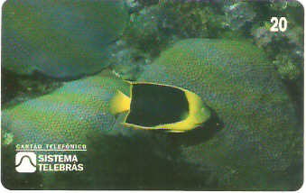 SP-0052M - Soldado