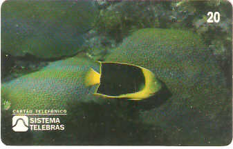 SP-0052 - Soldado