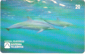 SP-0054M - Golfinho Rotador