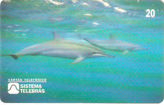 SP-0054 - Golfinho Rotador