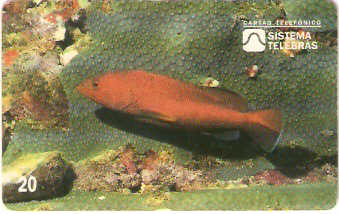 SP-0055 - Piraúna
