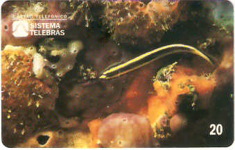 SP-0056M - Maria-da-Toca