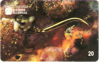 SP-0056 - Maria-da-Toca