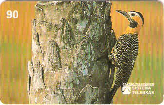 SP-0068 - Pica-Pau-do-Campo