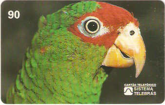 SP-0069M - Papagaio-da-Serra