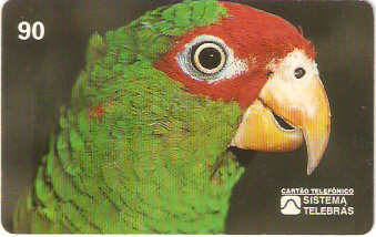 SP-0069 - Papagaio-da-Serra