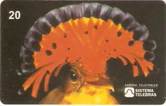 SP-0070 - Maria-Leque