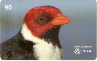 SP-0071M - Galo-da-Campina