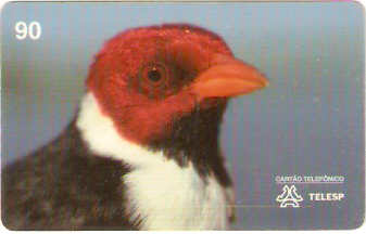 SP-0071 - Galo-da-Campina