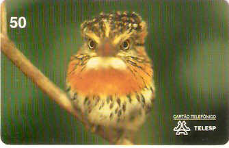 SP-0072 - Rapazinho-dos-Velhos