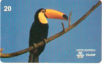 SP-0073 - Tucanaçu