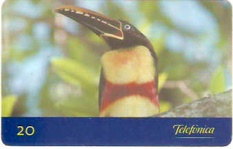 SP-0141 - Araçari-Castanho