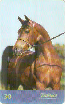 SP-0199 - Árabe é Elegância