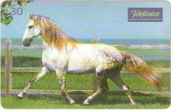 SP-0218M - Andaluz é Força