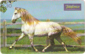 SP-0218 - Andaluz é Força