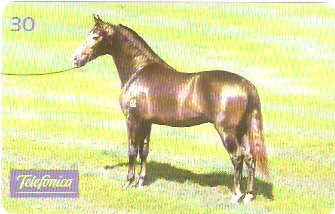 SP-0223M - Marchador é Conforto