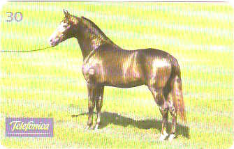 SP-0223 - Marchador é Conforto