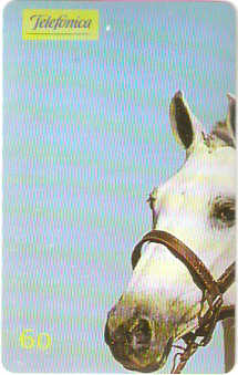 SP-0230M - Andaluz - 1