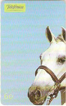 SP-0230 - Andaluz - 1