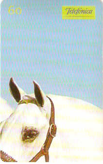 SP-0232 - Andaluz - 3