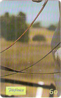 SP-0233M - Andaluz - 4