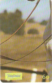 SP-0233 - Andaluz - 4