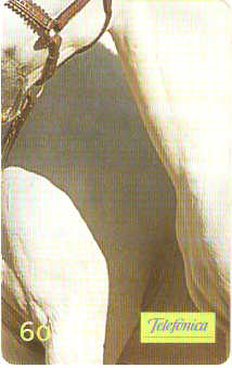 SP-0235M - Andaluz - 6