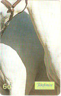 SP-0235 - Andaluz - 6