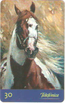 SP-0264M - Freckles Storm Cat