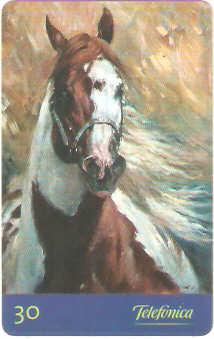 SP-0264 - Freckles Storm Cat