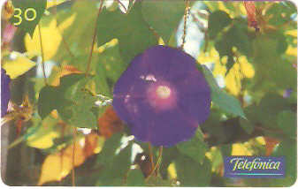SP-0287 - Hipoméia