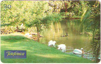 SP-0312 - Americana
