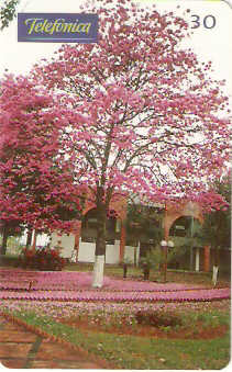 SP-0321M - São Caetano do Sul