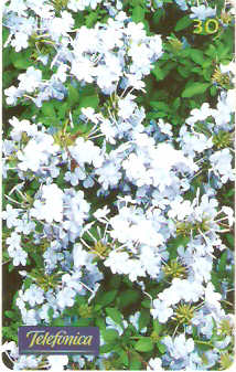 SP-0359M - Bela Emília