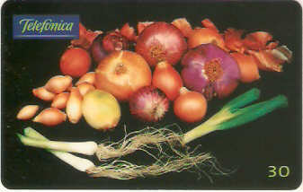 SP-0375M - Cebolas