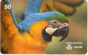 SP-0425M - Arara Amarela
