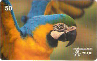 SP-0425 - Arara Amarela