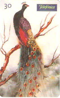 SP-0490M - Pavão