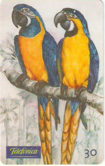 SP-0491M - Araras Azuis