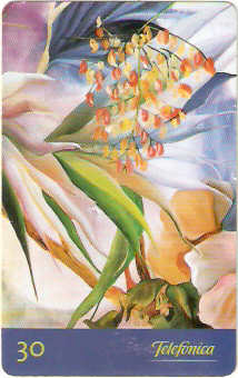 SP-0506 - Floresta Tropical - 2