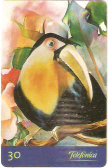 SP-0507 - Floresta Tropical - 3