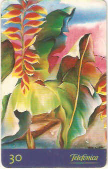 SP-0508 - Floresta Tropical - 4