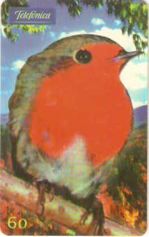 SP-0522 - Pintarroxo